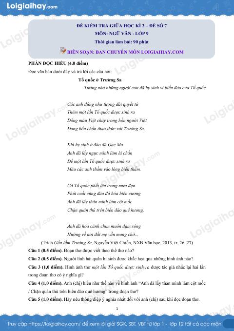 Đề thi giữa kì 2 Văn 9 - Đề số 7